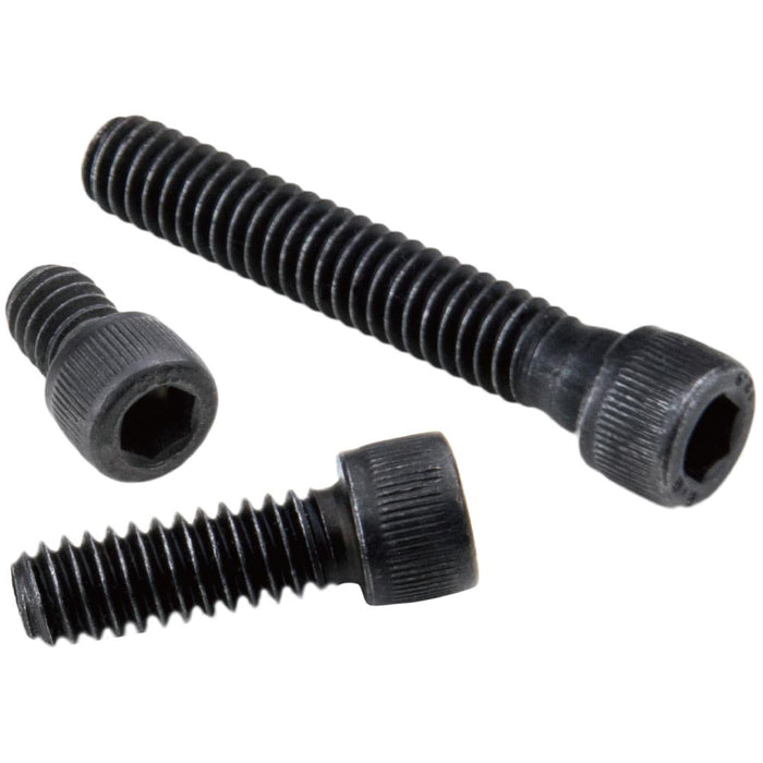 KS-171 - 1/4"-20 Hex Socket Cap Screw Set