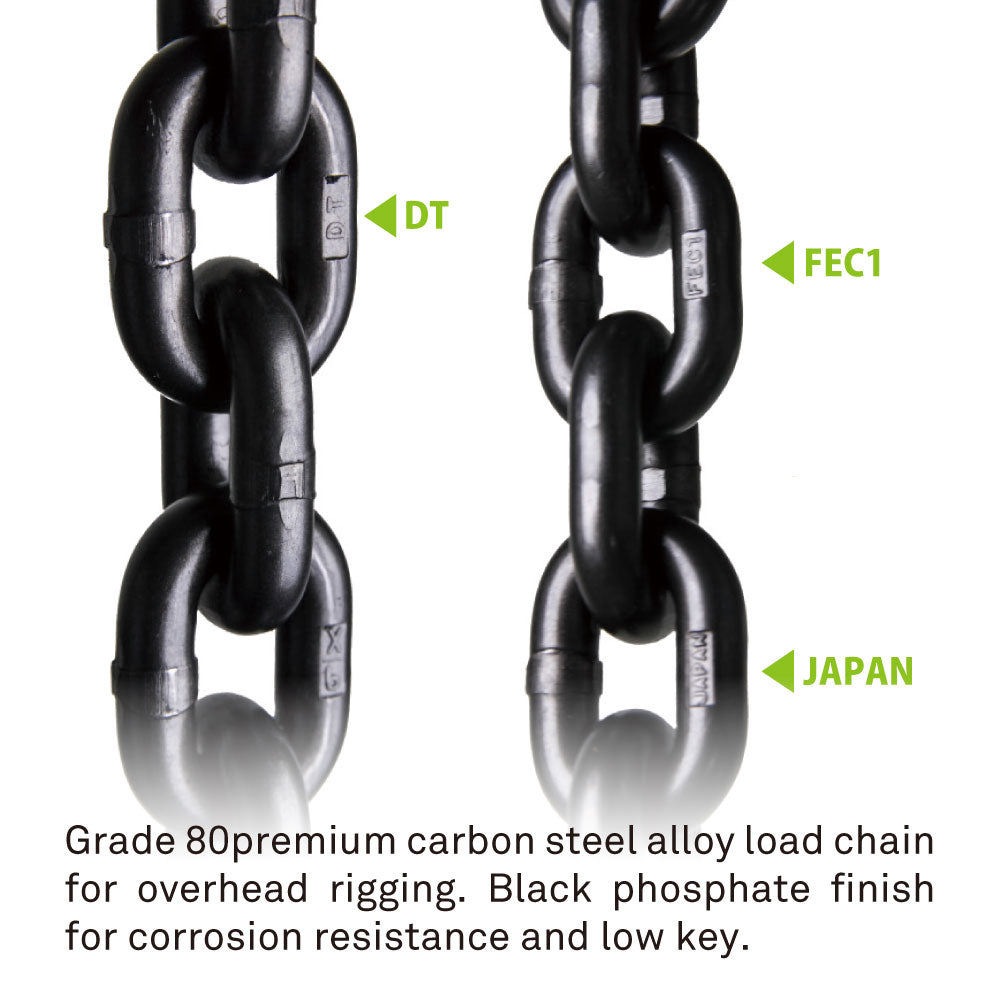 RD-750P - D8 Plus 750 kg Chain Hoist Direct Control, load chain detail