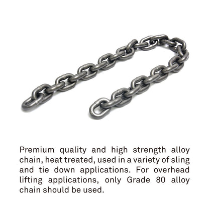 RH-2000LV - D8 2000 kg Chain Hoist Low Voltage Control, load chain detail