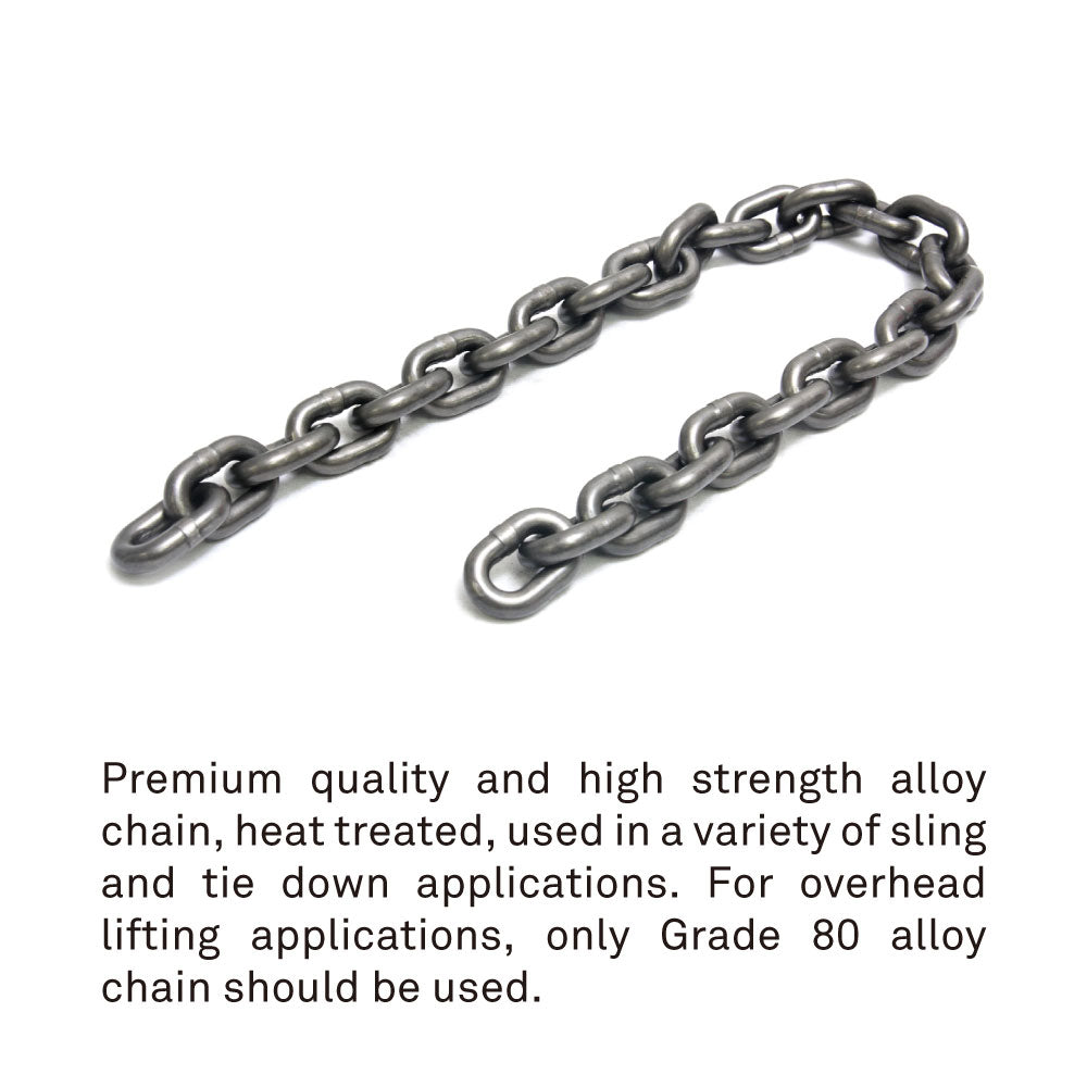 RH-2000 - D8 2000 kg Chain Hoist Direct Control, load chain detail